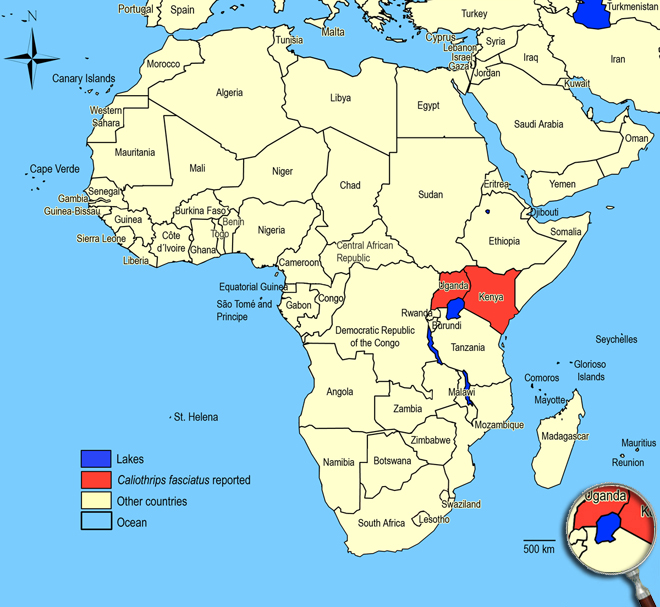 Distibution Map Africa